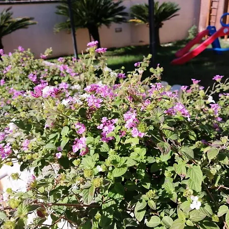 Erminia - Free Parking E Mare Vicino לינה וארוחת בוקר 4*