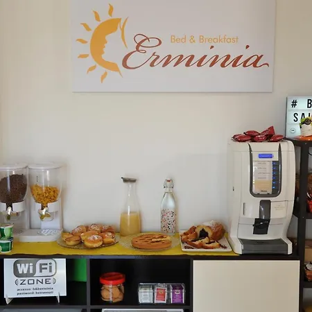 Erminia - Free Parking E Mare Vicino Nocleg ze śniadaniem 4*