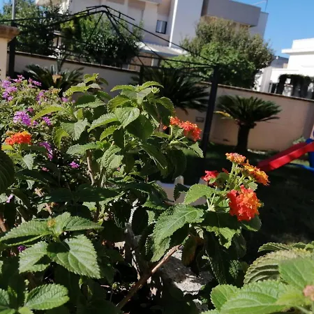 Erminia Bed & Breakfast Presicce